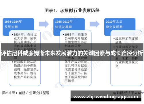 评估尼科威廉姆斯未来发展潜力的关键因素与成长路径分析 评估尼科威廉姆斯未来发展潜力的关键因素与成长路径分析