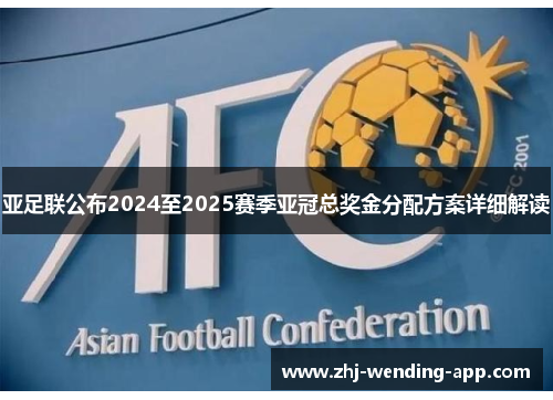 亚足联公布2024至2025赛季亚冠总奖金分配方案详细解读